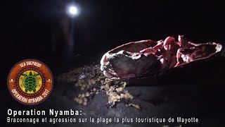 Opération Nyamba Braconnage et agression sur la plage la plus touristique de Mayotte [upl. by Kciwdahc]