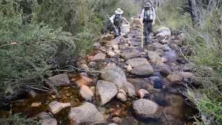 Backpack Electrofishing in the Australian Capital Territory [upl. by Ambur]