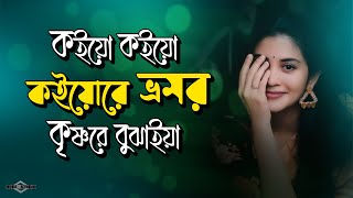 কইয়ো কইয়ো কইয়োরে ভ্রমর কৃষ্ণরে বুঝাইয়া 😭 Bhromor Koi Giya NEW VERSION  Huge Studio  Ayna Ghor [upl. by Refitsirhc427]