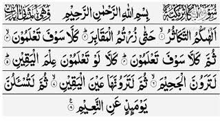 Surah AT TakasurTelawat Quran majeed [upl. by Wendeline]