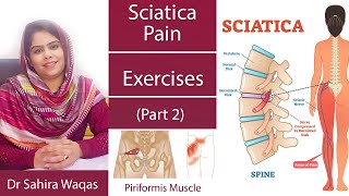 Sciatica Pain Treatment  Sciatica Pain Exercises  By Dr Sahira Waqas Part 2 [upl. by Mandle828]