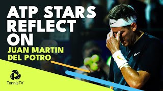 ATP Stars Reflect On Del Potros Incredible Tennis Career ✨ [upl. by Tenaj]