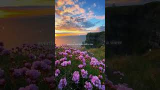 24kgoldn  Mood Lyrics ftiann dior  Lyrics video  lofi  Mood song  lyrics aesthetic [upl. by Kelula296]