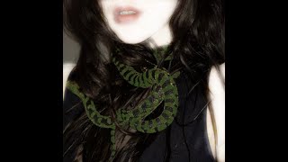 Medusa  Kaia Jette Official Lyric Video [upl. by Singhal]