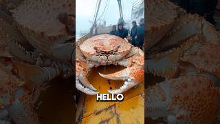 The Kodiak Crab 💀🦀full vid ☝️ [upl. by Adnyleb]