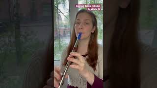 Carolan’s Ramble To Cashel By Turlough O’Carolan  tin whistle Bb  SHEET MUSIC [upl. by Aseyt]