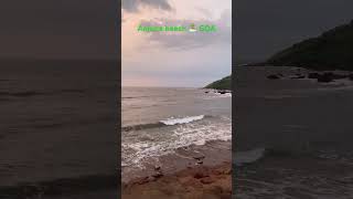 Trading in GOA Learn trading tradingingoa Anjunabeachpetrading [upl. by Swithin]