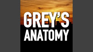 Greys Anatomy [upl. by Spiegelman347]