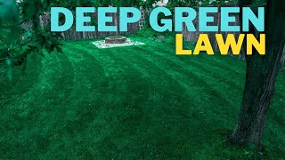 🟢 Make your ugly lawn DARK GREEN in 3 days [upl. by Pedroza]