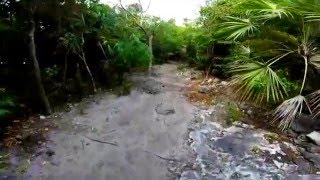 Coco Cay Nature Trail Hike [upl. by Lovering]