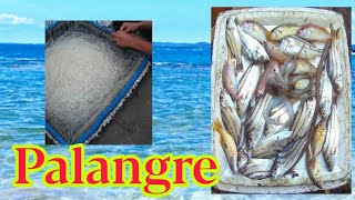 PALANGRE  Manghuli ng isda gamit ang Palangre  Fishing [upl. by Odnuges]