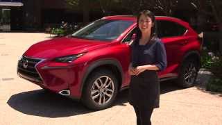 2015 Lexus NX Interior Features Walk Around  Lexus [upl. by Ennaehr]