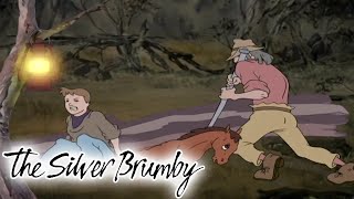 The Silver Brumby  Charlie Lends A Helping Hand HD  Full Episode  Cartoons For Children [upl. by Ahsym]