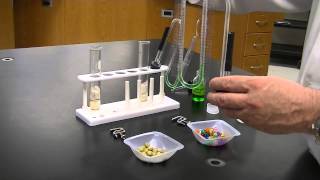 Cell Respiration Lab Using Hagge Respirometer [upl. by Strade]