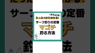 サーフ釣りの定番『マゴチ』を釣る方法 ‼️釣り海釣り魚釣り釣り初心者 ルアーフィッシング ルアー釣り 釣り好き 釣りスタグラム マゴチ VOICEVOX春日部つむぎ [upl. by Winwaloe819]