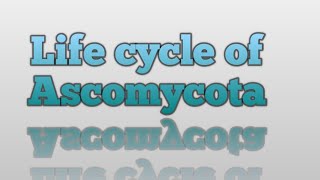 Life Cycle of Ascomycota [upl. by O'Grady]