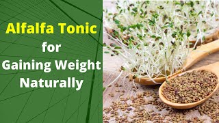 Alfalfa Tonic For Weight Gain Naturally  Weight Gain Tonic [upl. by Lucine956]