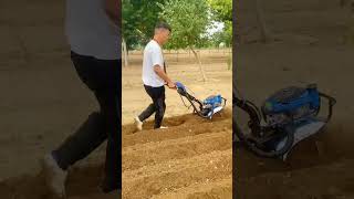 Hillside hilly land orchard greenhouse corn field Rotary tiller Weeding Machine [upl. by Aldric]