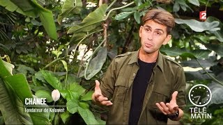 Telematin Humanitaires Le héros de la jungle le 15012018 [upl. by Ardnassac]