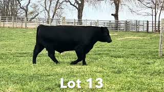 Lot 13  Myers Provision M353 [upl. by Etireuqram]