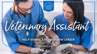 How long does it take to become a Veterinarian and Board Certified [upl. by Ona]