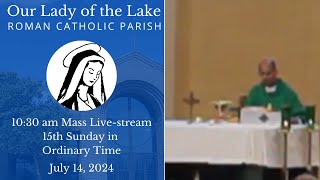 Fifteenth Sunday in Ordinary Time 2024 [upl. by Ahsias]