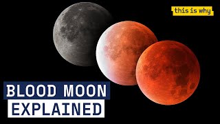 What is a Blood Moon The lunar eclipse explained  This Is Why [upl. by Wyndham601]