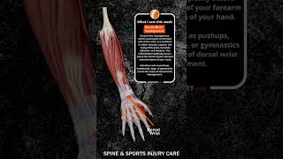 Dorsal wrist impingement  shorts Winnipeg Chiropractor Athletic Therapist [upl. by Sigrid]