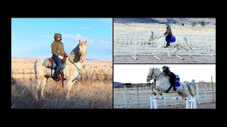 Blue Eyed Cremello Andalusian Gelding For Sale  DrivingJumpingDressage [upl. by Ainiger]