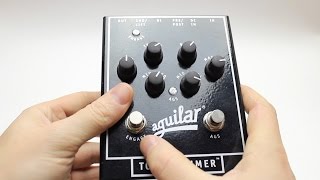 Aguilar Tone Hammer Review [upl. by Marquita322]