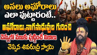 అసలు అఘోరాలు ఎలా పుట్టారంటే Agoras Life History In Telugu  Shocking Secrets Of Aghori amp Sadhus [upl. by Petulah]