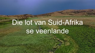 The Plight of South Africa’s Peculiar Peatlands – Afrikaans [upl. by Omar55]