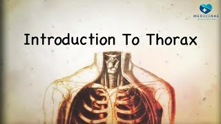 Introduction to the Thorax Key Bony Landmarks Explained [upl. by Morentz]