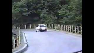 13° Rally Appennino Reggiano 1989  PS Buvolo [upl. by Arawaj]