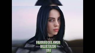 Pajarito del amor  Billie Eilish [upl. by Llehsram]