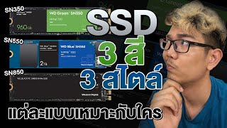 ทำความรู้จัก SSD แต่ละสี แตกต่างกันอย่างไร  WD [upl. by Ludovick]