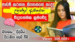 පාඩම් කරන්න උනන්දුවක් නැද්ද How to get interested in studying amp Brain Foods for Memory Study Tips [upl. by Yantruoc217]