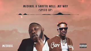 Medikal feat Shatta Wale  My Way Sped Up [upl. by Eelarak]