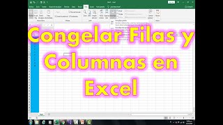 Como inmovilizar paneles para bloquear filas y columnas en excel [upl. by Niwled209]