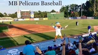 Myrtle Beach Pelicans Baseball Game  Attractions [upl. by Wauters935]