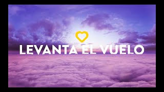 Vueling  Es el momento de levantar el vuelo [upl. by Allimac]