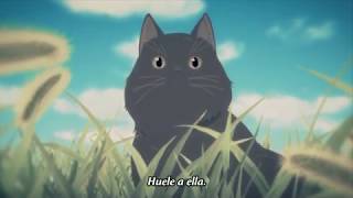 Kanojo to Kanojo no Neko Everything Flows Cap 1 [upl. by Eigla]