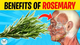 10 POWERFUL Health Benefits of ROSEMARY You Didnt Know About [upl. by Raleigh]