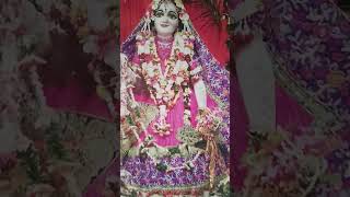 Giridhari lal nachaya [upl. by Wilone]