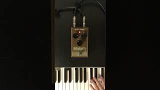 Rhodes with Delay Pedal tc electronic Echobrain fenderrhodes rhodes tcelectronic [upl. by Charie]