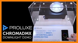 Proluxe Lighting CHROMADMX Downlight Demo at Lightapalooza 2024 [upl. by Eerehc75]