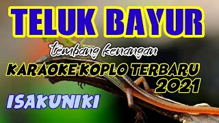 Teluk bayur karaokedangdut koplo tembang kenangan version2021 [upl. by Eisac]