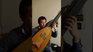 Kapsberger  Toccata II schorts baroque lute theorbo [upl. by Ennalorac]