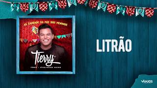 Tierry  Litrão Promocional  Atualizadão Junino [upl. by Eolc]