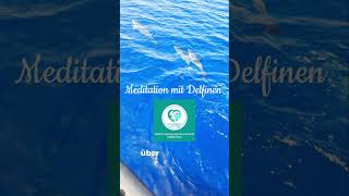 Meditation  Reise mit Delfinen zBals Erdungsübung beim EFT [upl. by Athiste]